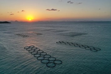 海洋碳匯對地方財(cái)政收入影響分析——以大陳島為例